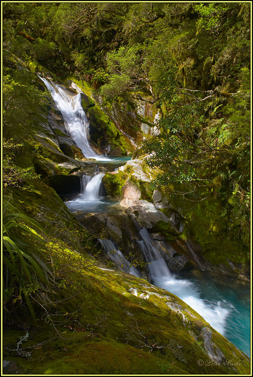 WV8X3100.jpg - Day 3 of Milford Track, Fiorland National Park, South Island, New Zealand