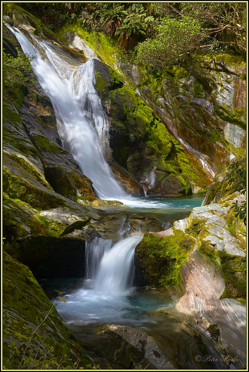 WV8X3104.jpg - Day 3 of Milford Track, Fiorland National Park, South Island, New Zealand