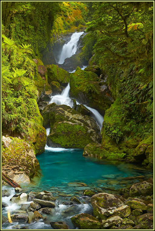 WV8X3170.jpg - MacKay Falls, Day 4 of Milford Track, Fiordland National Park, New Zealand