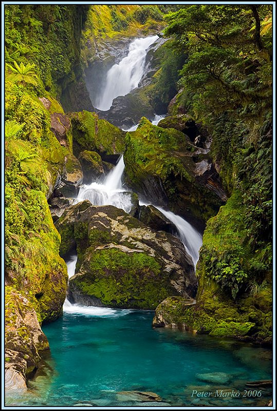 WV8X3174_mail.jpg - Mackay Falls, Milford Track, Fiorland National Park, New Zealand