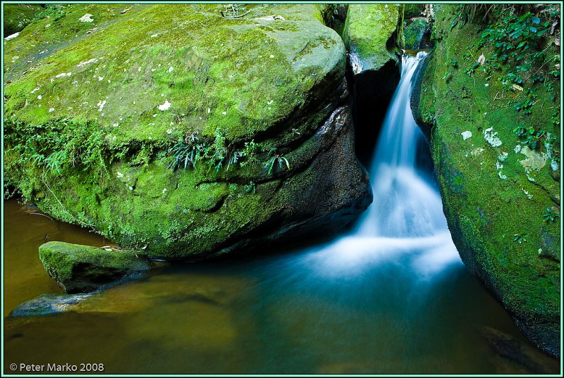 WV8X8890.jpg - Waterfall and moss, Blue Mountains, Australia.